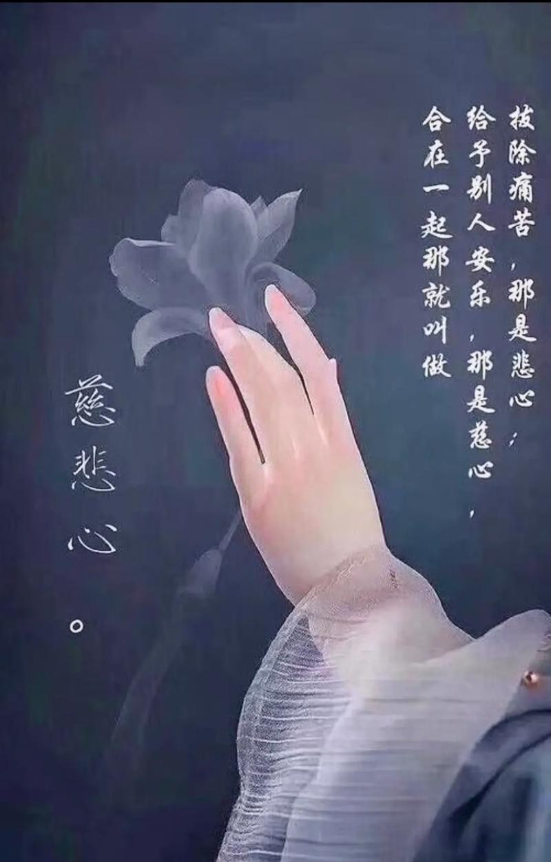 谁知道菩萨座下的神童转世是什么意思菩萨转世的高僧世间有人谤我，欺我，辱我，笑我，贱我，骗我，如何处置 车辆(134835)