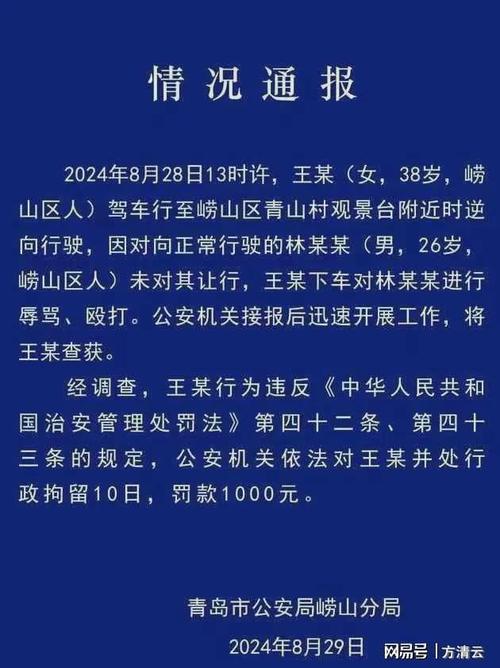 郑州大妈逆行撞到人，反携孙子打骂人，如何看待此事逆行打人女子被拘留了西安曲江一凯迪拉克司机持棒球棍殴打骑电动车男子，目前已被拘, 你怎么看