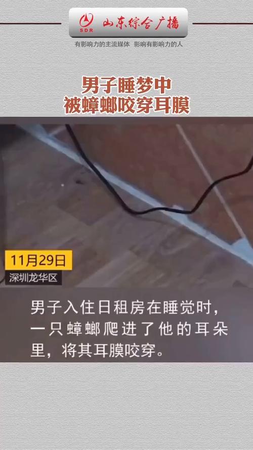 为什么成人睡觉的时候蟑螂喜欢爬在她身上男子睡梦中蟑螂呛进气管蟑螂为什么会咬煤气胶管