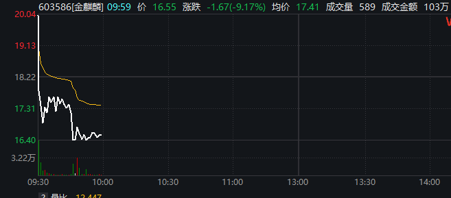 金麒麟一度上演“天地板” 该股此前录得5连板 型号(167038)